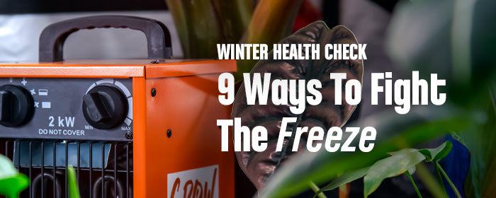 9 Ways to Fight the Freeze [Winter Health Check]