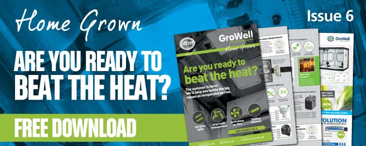 Are You Ready To Beat The Heat? [Issue 6] | GroWell