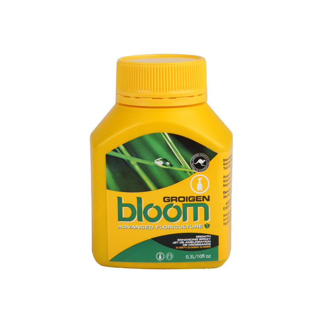 Bloom - Groigen