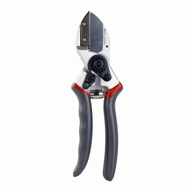 Kent & Stowe Professional Anvil Secateurs