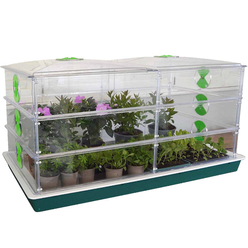 Large Vitopod Propagator with Three Layers