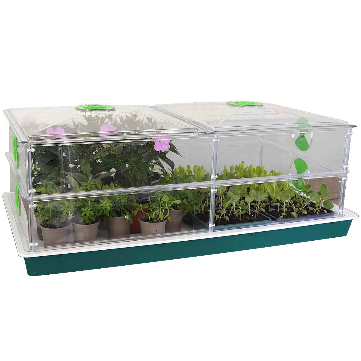 Large Vitopod Propagator with Two Layers