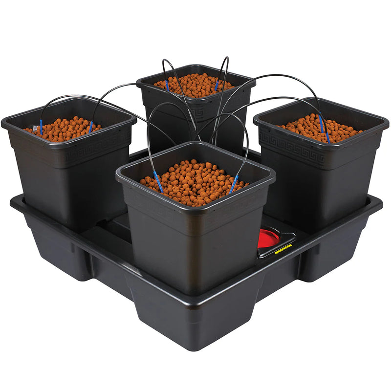 Origin  XL 4 x 25 Litre